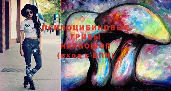 круглые Новозыбков