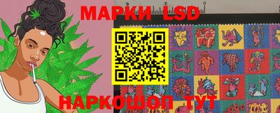 стафф Донецк