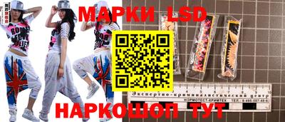 стафф Донецк