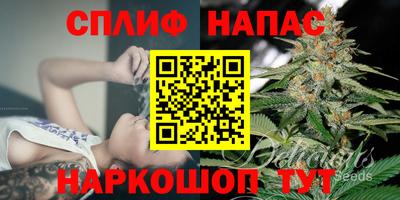 сатива Дубна