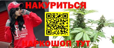 сатива Дубна