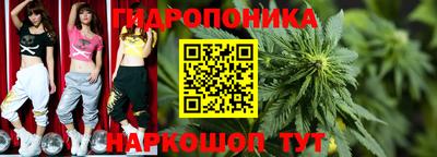 сатива Дубна