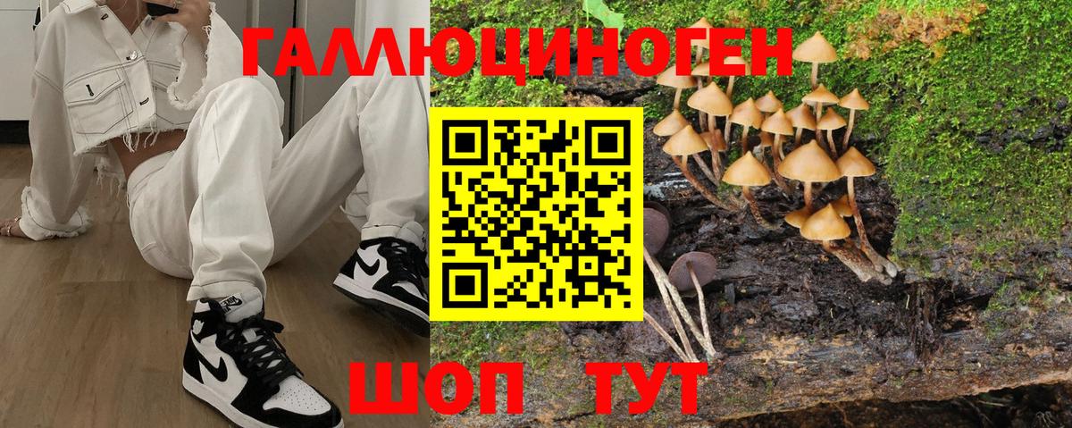 Галлюциногенные грибы Psilocybine cubensis Красный Сулин